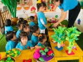 HOẠT ĐỘNG TRẢI NGHIỆM CỦA TRẺ MẪU GIÁO 3 TUỔI TẠI GÓC CHỢ QUÊ - TRƯỜNG MN VIỆT QUANG II