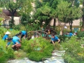 TRƯỜNG MN VIỆT QUANG II - LAO ĐỘNG VỆ SINH, CHỈNH TRANG KHUÔN VIÊN TRƯỜNG CHUẨN BỊ CHO NĂM HỌC MỚI 2023-2024